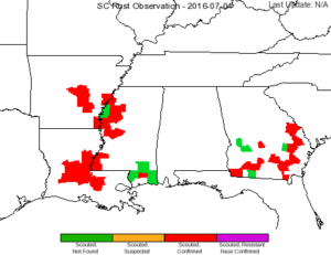 Southern rust distribution map in MS and throughout the southern region as of July 4, 2016.