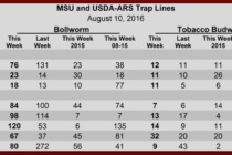 Insect Pheromone Trap Counts, August 10, 2016