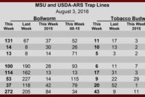 Bollworm and Budworm Pheromone Trap Catches, August 3, 2016