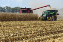 How to Enhance Corn Harvest Efficiency and Success