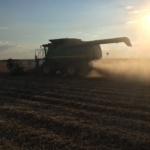 Soybean Harvest in Mississippi