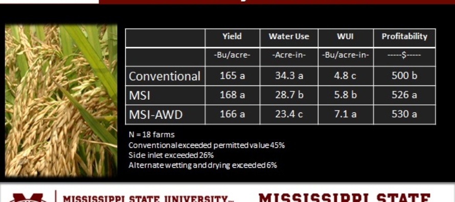 Three Years of AWD Water Savings in Rice