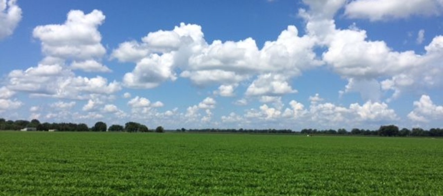 Mississippi Peanut Growers Association Annual Meeting, January 25-26, MSU Campus