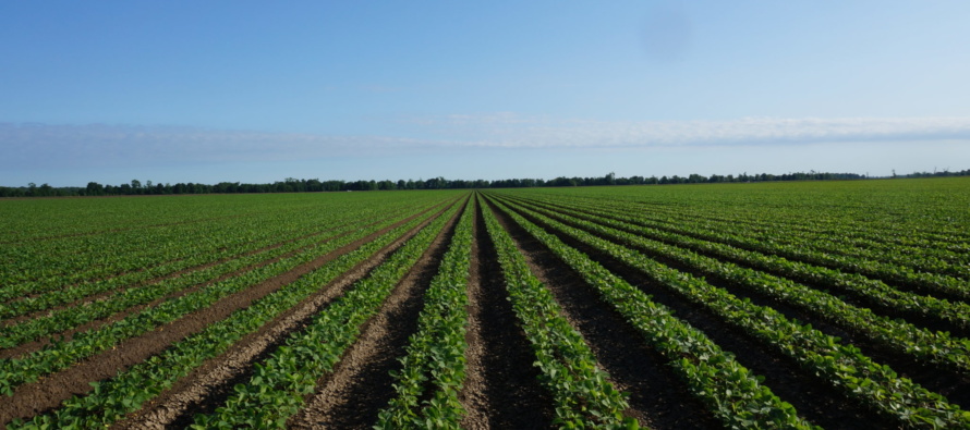 You don’t need to push soybean seeding rates