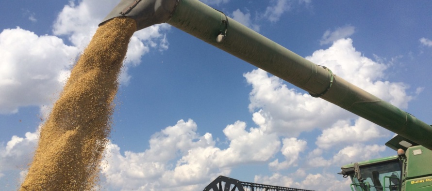 2017 Mississippi Soybean Yield Contest
