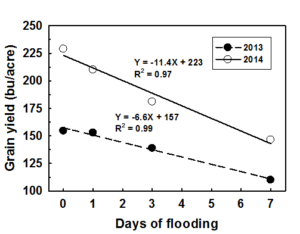 corn flood graph