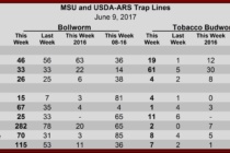 Moth Trap Counts for June 9, 2017