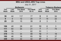 Heliothine Trap Counts, July 21, 2017