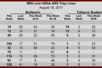 Heliothine Trap Counts, August 18, 2017