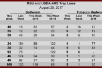 Heliothine Trap Counts, August 25, 2017