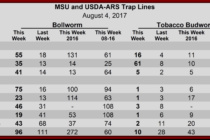 Heliothine Pheromone Trap Counts, August 4, 2017