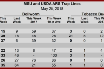 Heliothine Trap Counts, May 25, 2018