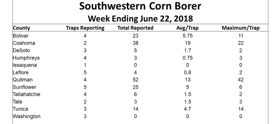 Southwestern Corn Borer Traps: June 22, 2018