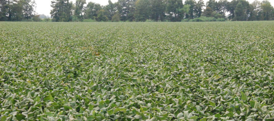 Considering an R3/R4 Automatic Fungicide Application in Soybean?