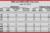 Heliothine Trap Counts, June 15, 2018