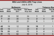 Heliothine Trap Catches, July 6, 2018