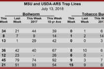 Heliothine Trap Catches, July 13, 2018