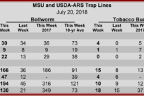 Heliothine Trap Catches, July 20, 2018