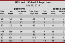 Heliothine Trap Catches, July 27, 2018