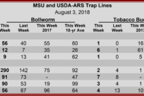 Heliothine Trap Catches, August 3, 2018