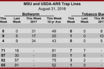 Heliothine Trap Counts, August 31, 2018