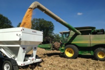 2018 Yield Summaries from the Corn Hybrid Demonstration Program