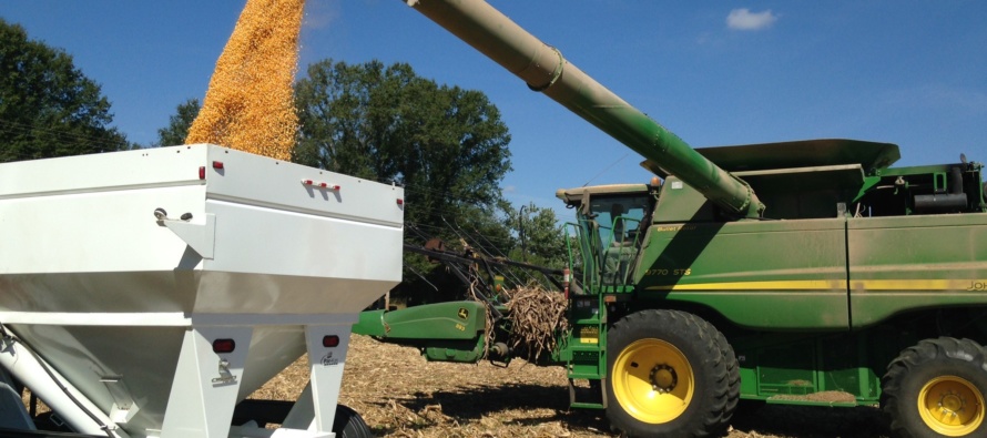 2020 MSU Corn Hybrid Demonstration Program Results