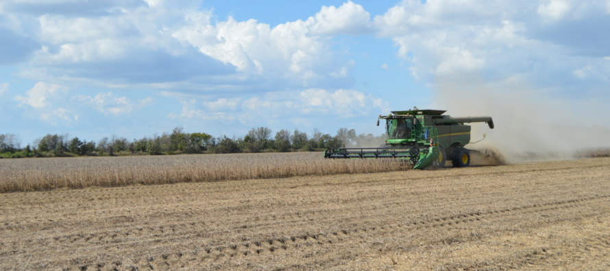What to do after the corn is out- Post-Harvest Weed Control Thoughts (Podcast)