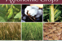 2019 Insect Control Guide for Agronomic Crops