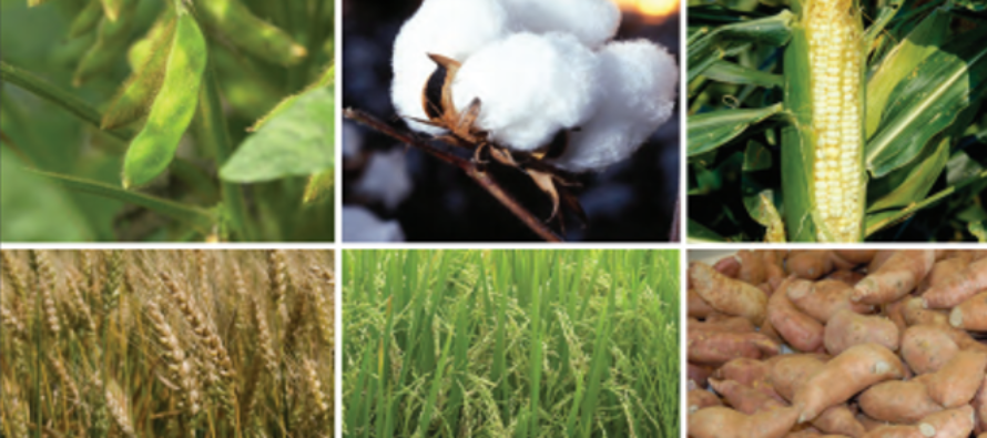 2019 Insect Control Guide for Agronomic Crops