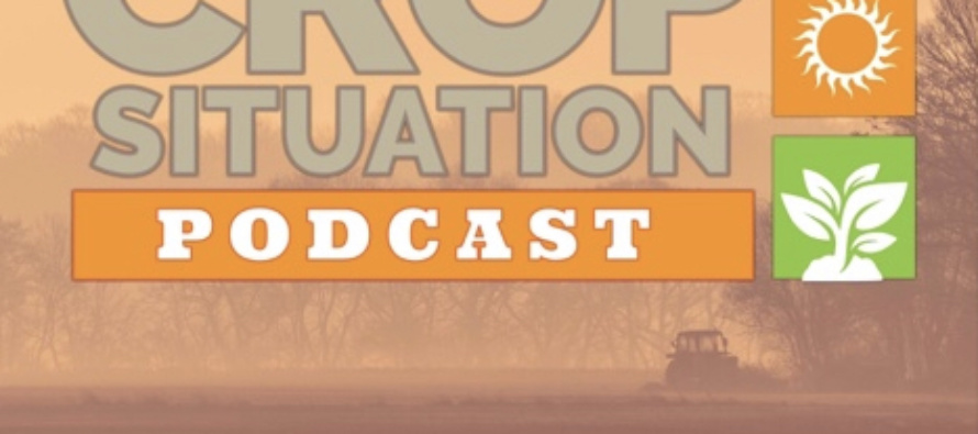 Podcast: Cotton Seed Treatments and 2019 Insect Pest Predictions