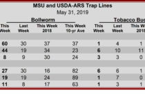 Heliothine Trap Counts, May 31, 2019