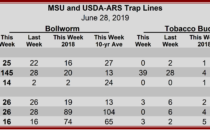 Heliothine Trap Counts, June 28, 2019