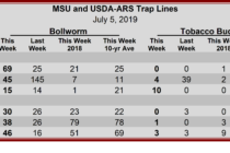 Heliothine Trap Counts, July 5, 2019