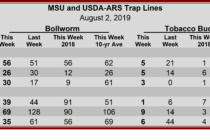 Heliothine Trap Counts, August 2, 2019