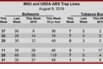 Heliothine Trap Counts, August 9, 2019