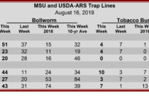 Heliothine Trap Counts, August 16, 2019