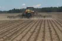 Planting Season Swings to Soybean in Mississippi (Podcast)