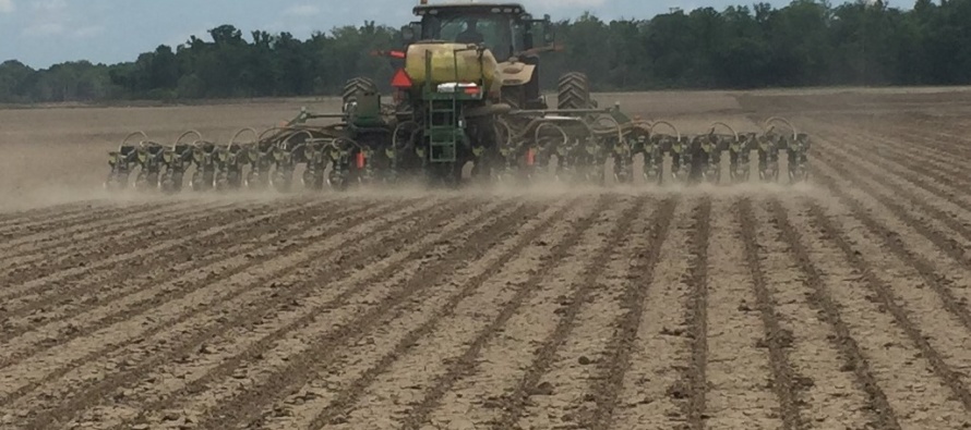 Planting Season Swings to Soybean in Mississippi (Podcast)