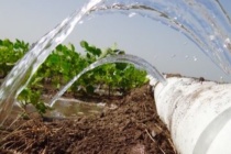 Irrigation Training
