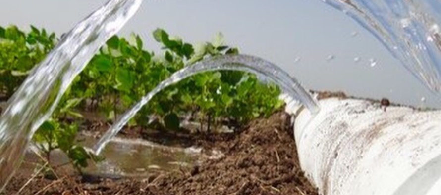 Soil Moisture Status and Irrigation Initiation (Podcast)