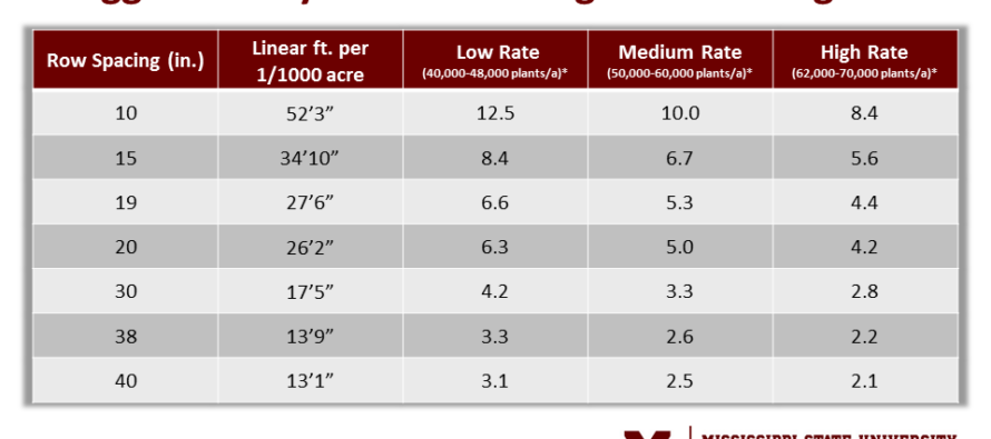 Grain Sorghum Planting and Management Recommendations