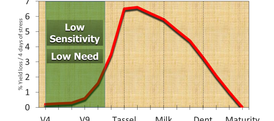 How to Improve Corn Yield by Better Timing your First Irrigation