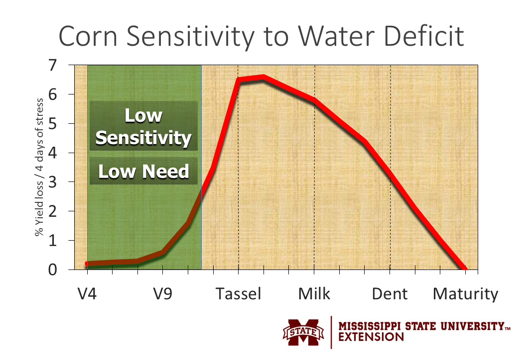 How to Improve Corn Yield by Better Timing your First Irrigation