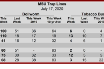 Heliothine Trap Counts, July 17, 2020