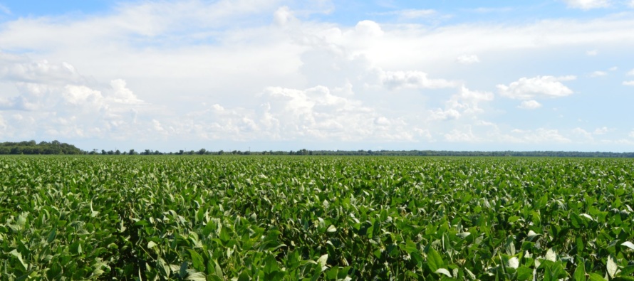 Identifying Late Season Soybean Growth Stages