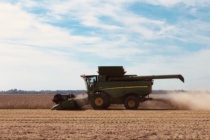 2020 Soybean Variety Demonstration Program Summary