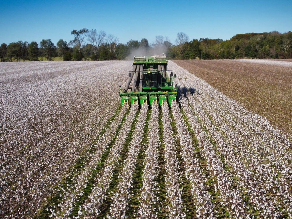 DCIM100MEDIADJI_0469.JPG Mississippi Crop Situation