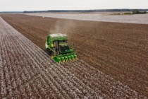 2020 Mississippi On-Farm Cotton Variety Trials