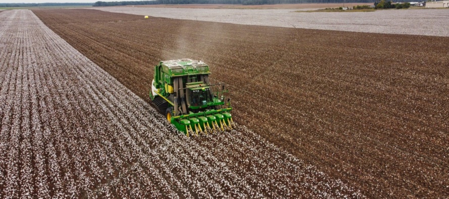 2020 Mississippi On-Farm Cotton Variety Trials